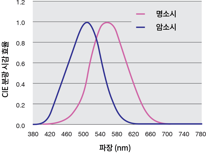 암소시 조도 측정 데이터